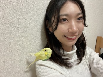 タレント