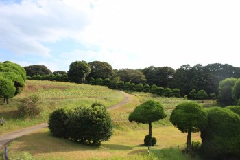 タレント