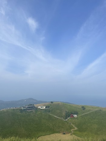 タレント