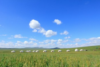 タレント