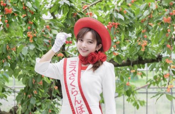 タレント