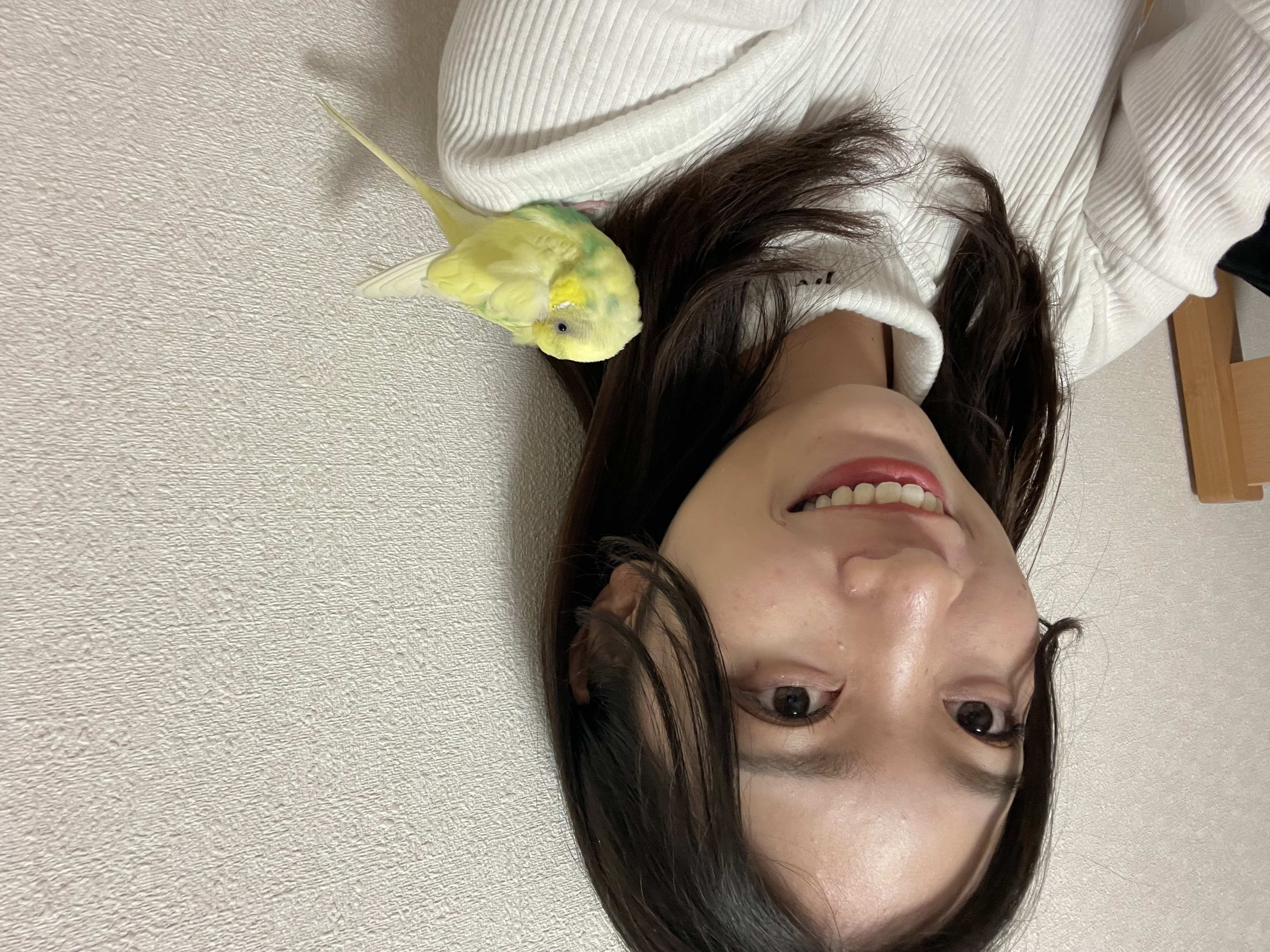 仮名